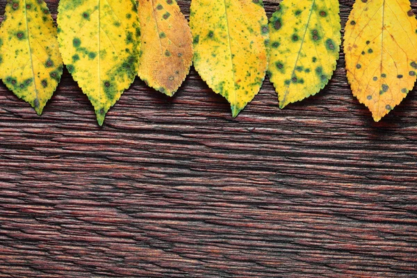 Herbst Blätter auf alten hölzernen Textur Hintergrund mit Copyspace — Stockfoto