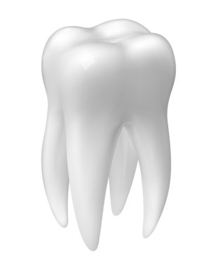 Vektör molar diş simgesi