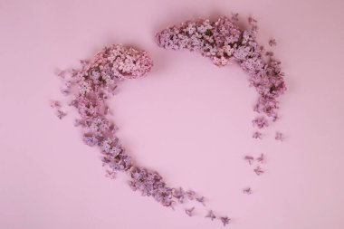 Mor leylakların taze dalları açık renkli mor arka planda çiçek açar. Mesaj için boş bir yer. Düz yatıyordu.