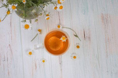 Papatya çayı, bir sürü papatya çayı, gri bir zemin üzerinde, kopyalama alanı, düz uzanma