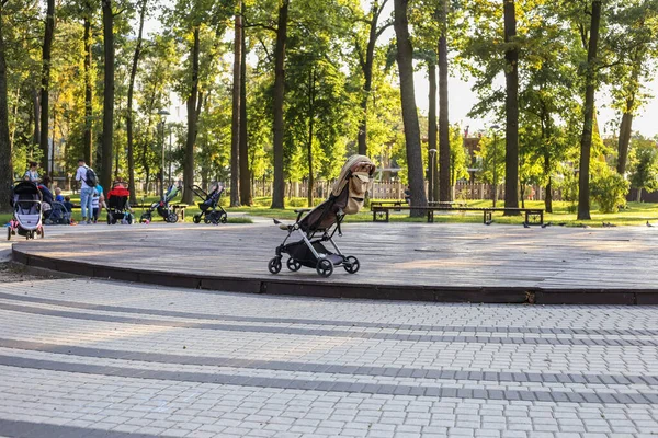 イルピン ウクライナ 2019 公園で散歩 子供と母親のための都市 ファミリーパーク プラヴィーク公園 — ストック写真