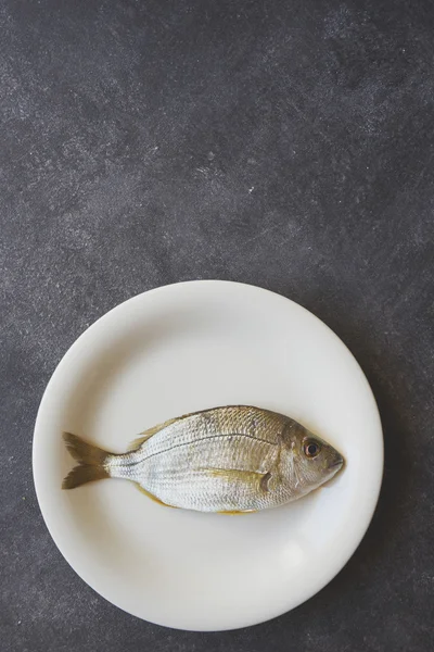 Fish on a white plate — Stock Photo, Image