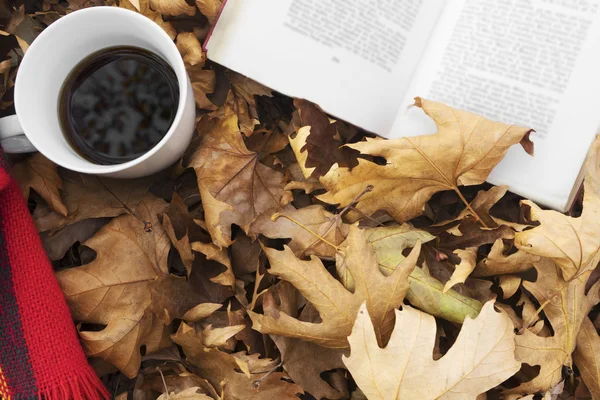 Hojas de otoño con taza de café y libro . —  Fotos de Stock