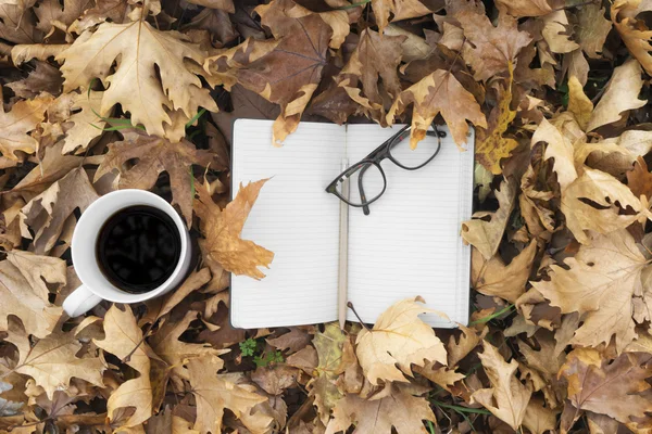 秋天的树叶，喝杯咖啡和笔记本 图库图片
