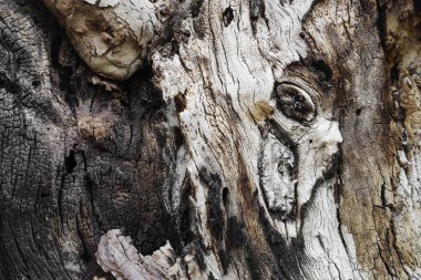 Kahverengi ahşap doku. Soyut arkaplan