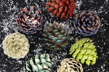 Farklı boya ile boyanmış pinecones