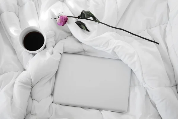 노트북, 흰색 컵 커피와 보라색 장미에 고립 된 백색의 수 — 스톡 사진