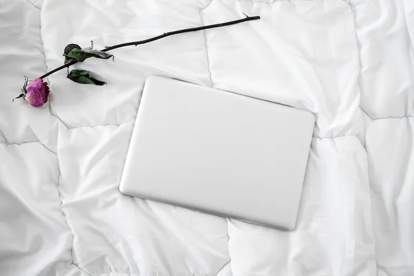 Laptop and purple rose isolated on white bed