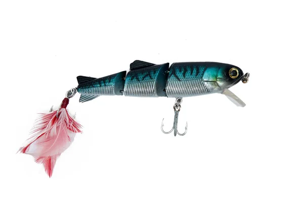 Fishing bait isolated on white background — Stock Photo, Image