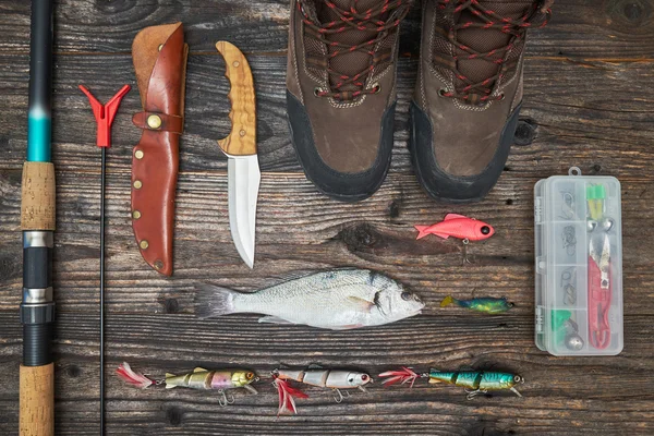 Balık tutma ele ve olta takımı ahşap arka plan üzerinde — Stok fotoğraf