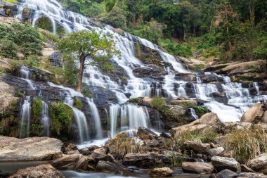 Mae Ya Şelalesi Doi Inthanon Milli Parkı, Chom Tanga Bölgesi, Chiang Mai Eyaleti, Tayland