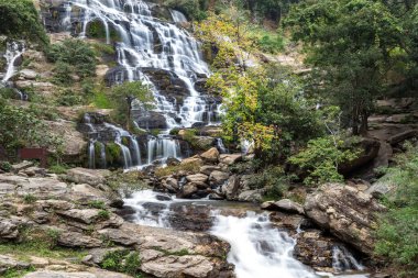 Mae Ya Şelalesi Doi Inthanon Milli Parkı, Chom Tanga Bölgesi, Chiang Mai Eyaleti, Tayland
