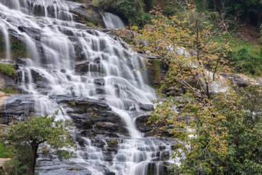 Mae Ya Şelalesi Doi Inthanon Milli Parkı, Chom Tanga Bölgesi, Chiang Mai Eyaleti, Tayland