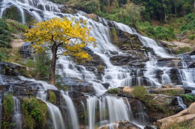 Mae Ya Şelalesi Doi Inthanon Milli Parkı, Chom Tanga Bölgesi, Chiang Mai Eyaleti, Tayland