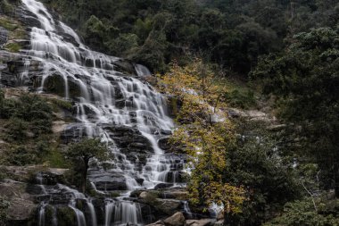 Mae Ya Şelalesi Doi Inthanon Milli Parkı, Chom Tanga Bölgesi, Chiang Mai Eyaleti, Tayland