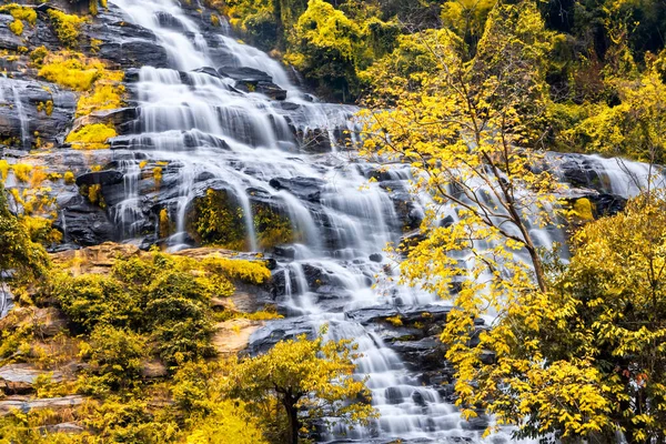 Cascade Mae Parc National Doi Inthanon District Chom Thong Province — Photo