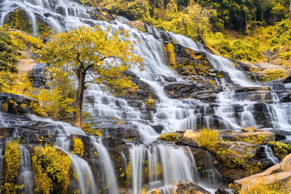 Cascade Mae Parc National Doi Inthanon District Chom Thong Province — Photo