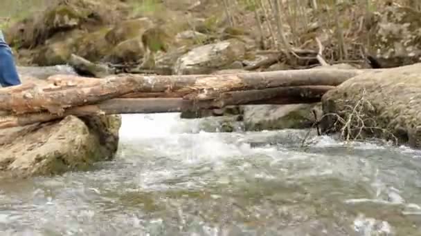 Tata pomaga dziecku przekroczyć prowizoryczny most przez rzekę. — Wideo stockowe