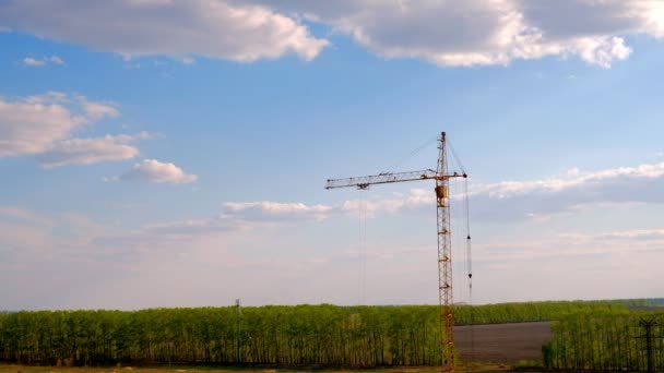 Guindaste no canteiro de obras do — Vídeo de Stock