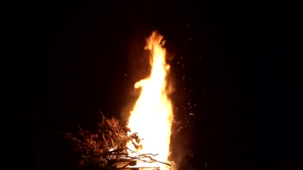 Un homme jette des branches dans un grand feu la nuit. Flammes de feu de joie sur fond noir — Video