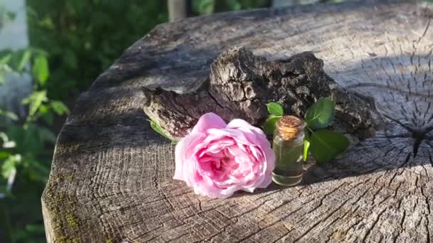 Бутылка духов с духами из розы на деревянном фоне. Концепция вкусного аромата цветов — стоковое видео