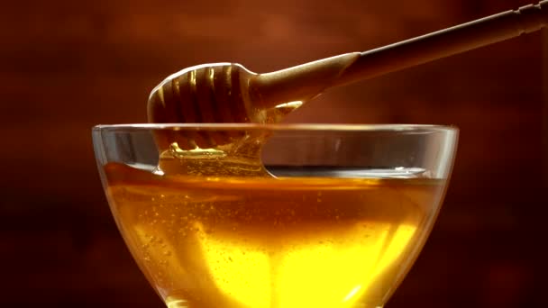 Tiheä mehiläinen hunaja kultainen väri läpinäkyvä kulhoon puinen tausta. Terveet luonnolliset makeiset käsite, hunaja dipper — kuvapankkivideo