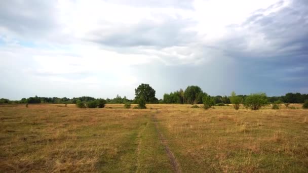 Schöne Straße über das Feld im Sommer, blauer Himmel. Natur, Kopierraum für Text — Stockvideo