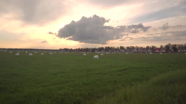 Hooibergen op een veld achtergrond van de avond zonnige zonsondergang. Landbouw- en landbouwconcept, kopieerruimte voor tekst, seizoen — Stockvideo