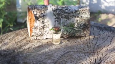 Ahşap bir arka planda dereotlu yağ şişesi. Kozmetik ve tıpta dereotu yağı kullanma kavramı