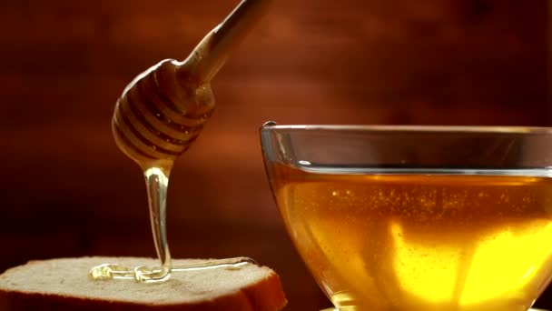 Бджолиний мед тече на медовий перець хліба. Смачна і здорова їжа — стокове відео