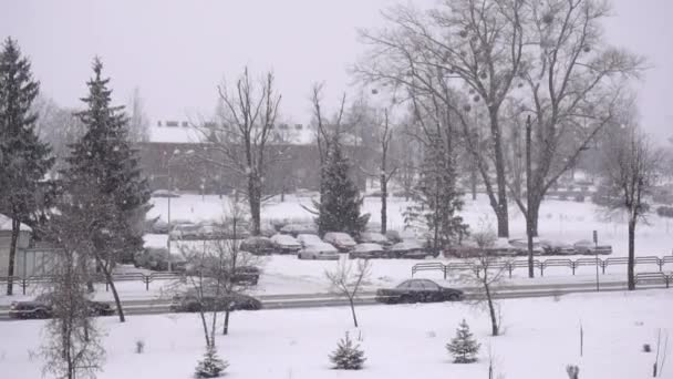 De fortes chutes de neige en ville en hiver. Gros flocons de neige tombant sur le sol, fond, ralenti — Video