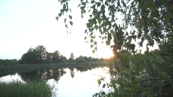 Lago nocturno en el bosque en el contexto de una puesta de sol soleada. Concepto de recreación y relajación en la naturaleza — Vídeos de Stock