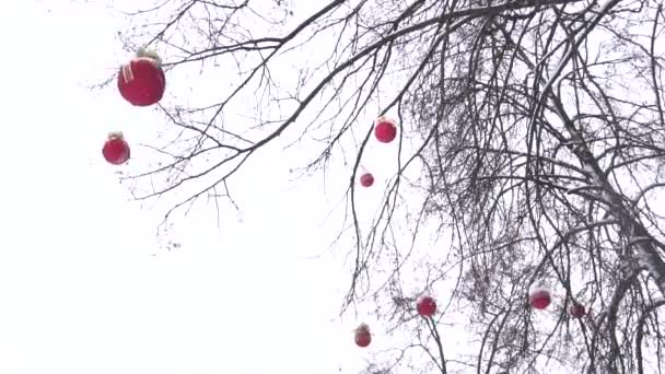 Bellissimo albero invernale all'aperto decorato con palloncini rossi contro il cielo, copiare spazio per il testo, rallentatore — Video Stock