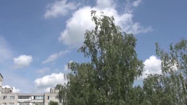 Rusya 'da bir yerleşim yerinin avlusundaki ağaçlar mavi gökyüzüne karşı, yavaş çekim.