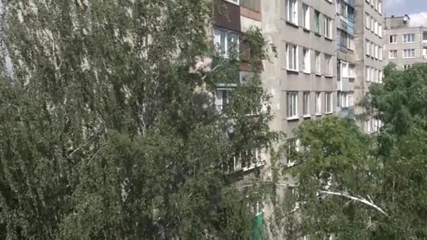 Alberi nel cortile della Russia sullo sfondo di un edificio residenziale a più piani nel cortile, lento mo — Video Stock