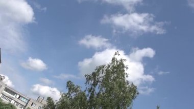 Rusya 'da bir yerleşim yerinin avlusundaki ağaçlar mavi gökyüzüne karşı, yavaş çekim.