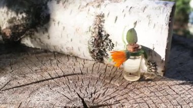 Ahşap huş ağacının arka planında gerekli yağ takviyesi. Anti-enflamatuar ve yatıştırıcı etki, terapi, fizyoterapi, antiseptik