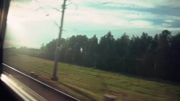 Tren de tren va a lo largo del bosque, rayos de sol están brillando. Vista desde la ventana lateral en el interior del compartimento del vagón del pasillo. Concepto de viajes y turismo. — Vídeo de stock