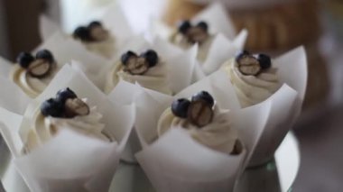 Taze çilek ve yaban mersinli kremalı pasta, tatlı..