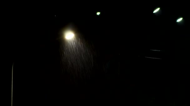Pouliční lampa osvětluje kapky deště v noci. Silný liják venku, podzim, kopírovací prostor pro text — Stock video