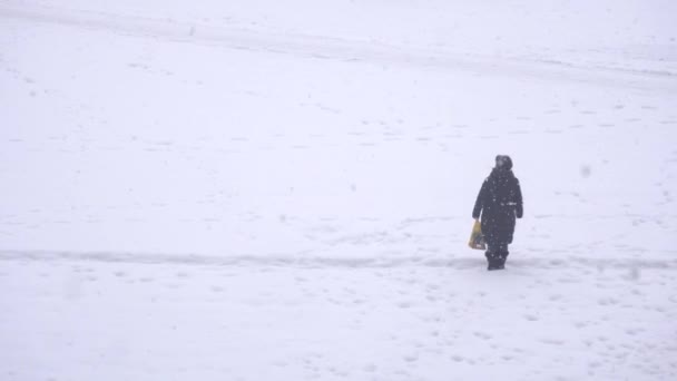 Μια γυναίκα στέκεται σε ένα χιονισμένο μονοπάτι ανάμεσα στο χωράφι και κοιτάζει την χιονόπτωση, αντιγράφει χώρο — Αρχείο Βίντεο
