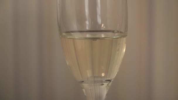 Verre avec champagne et bulles, gros plan, ralenti — Video