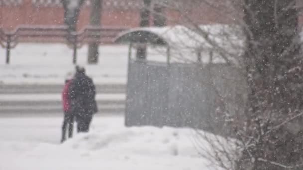 Mensen wachten op het openbaar vervoer bij een bushalte in de stad in een sneeuwstorm. Winterweer, slow motion, wazig — Stockvideo