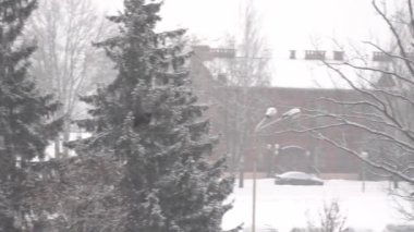 Kuş ötüşü kış ağaçlarının arka planında havada uçuşuyor, kar yağıyor. Yavaş çekim