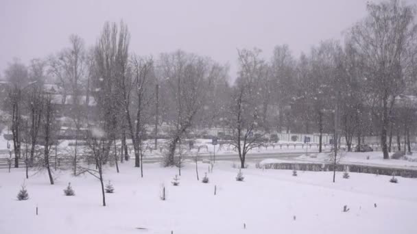 Duże opady śniegu w zimie z architekturą miasta i tłem drzew, zwolnione tempo — Wideo stockowe