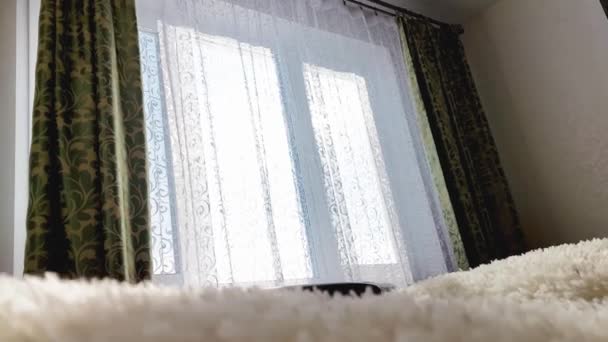 O sol brilha através da janela com cortinas verdes, interior moderno casa. Contexto — Vídeo de Stock
