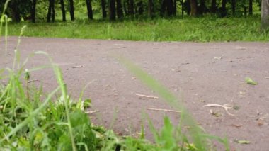 Parkta koşu bandında koşan insanların bacakları, yakın plan. Spor ve koşu konsepti, yaz