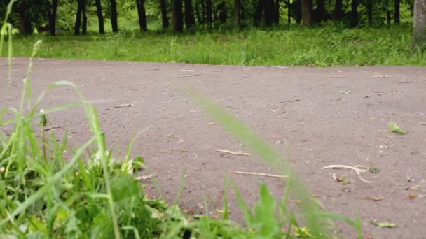 Nohy lidí, kteří běhají na běžeckém pásu v parku, zblízka. Sportovní a běžecký koncept, léto — Stock video