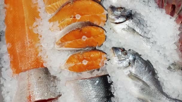 Truta de peixe vermelho são vendidos em exposição em uma loja. Deliciosos e saudáveis frutos do mar, congelados — Vídeo de Stock