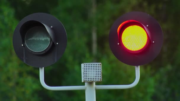 Die Bahnampel blinkt rot. Geschlossene Kreuzung. Haltesignal an der Bahn verbieten Warnbewegung des Zuges mit hoher Geschwindigkeit. Gefahr, Sicherheit, Vorsichtskonzept. Steuerung der Bewegungsinfrastruktur — Stockvideo